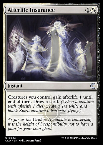 Afterlife Insurance