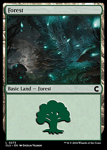 Forest
