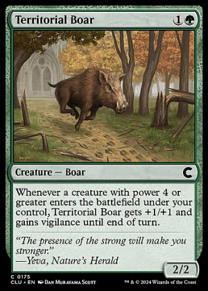 Territorial Boar