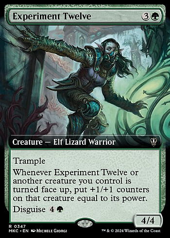 Experiment Twelve