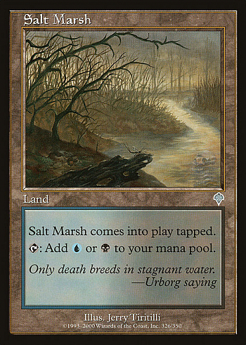 Salt Marsh