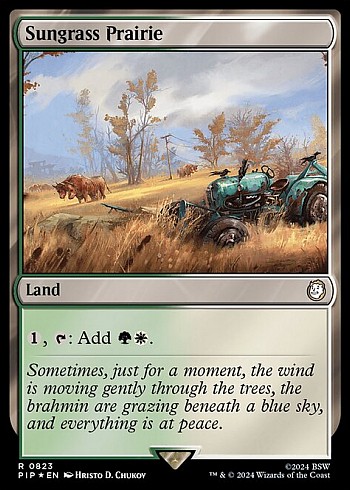 Sungrass Prairie