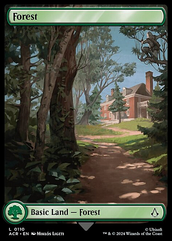 Forest