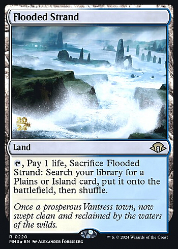 Flooded Strand
