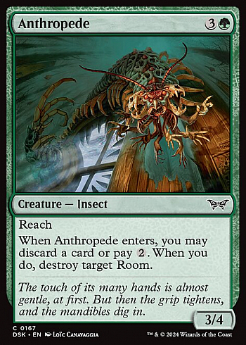 Anthropede
