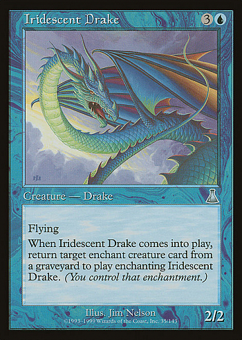 Iridescent Drake