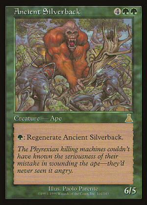 Ancient Silverback