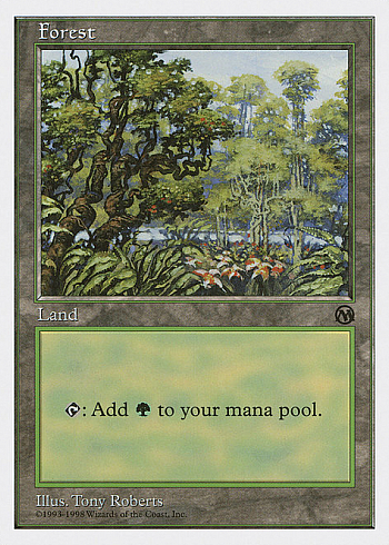Forest