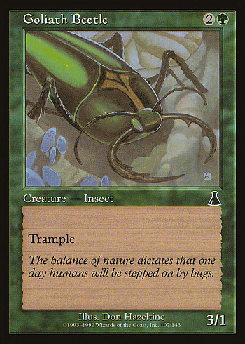 Goliath Beetle