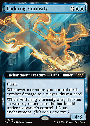 Enduring Curiosity