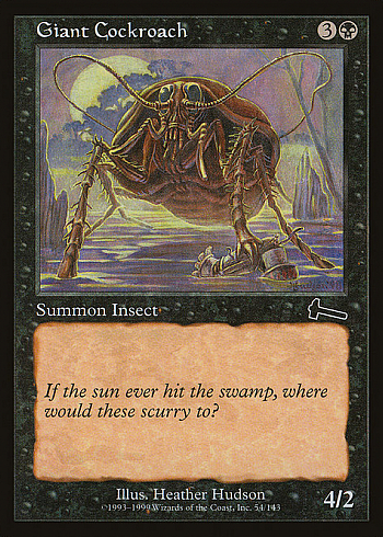 Giant Cockroach