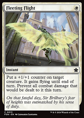 Fleeting Flight