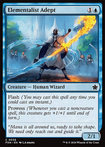 Elementalist Adept