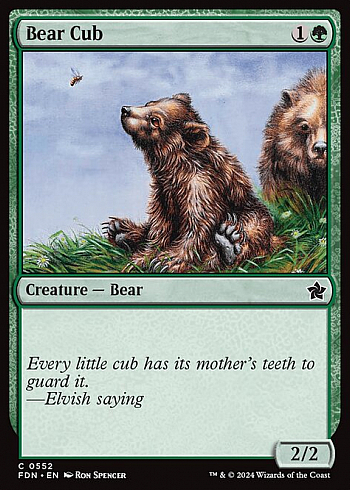Bear Cub