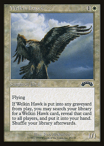 Welkin Hawk