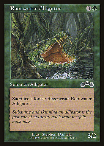 Rootwater Alligator