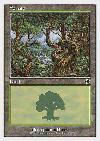 Forest