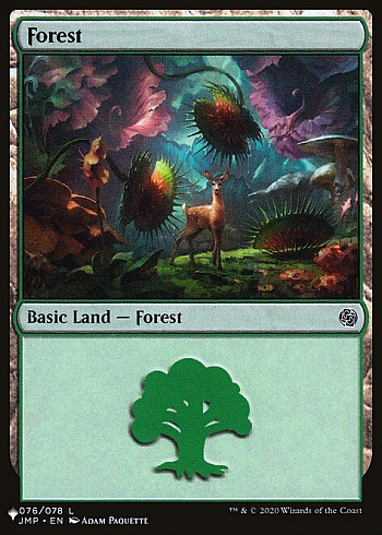 Forest