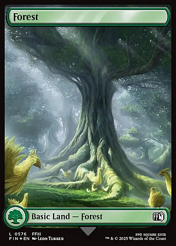 Forest