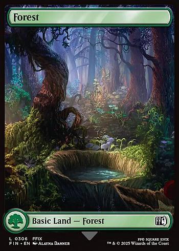 Forest