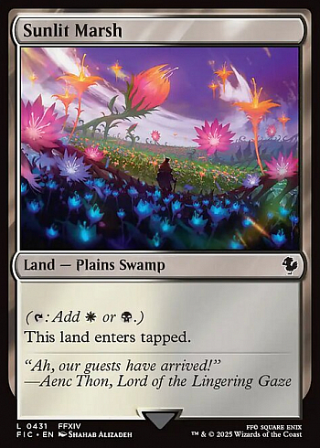 Sunlit Marsh