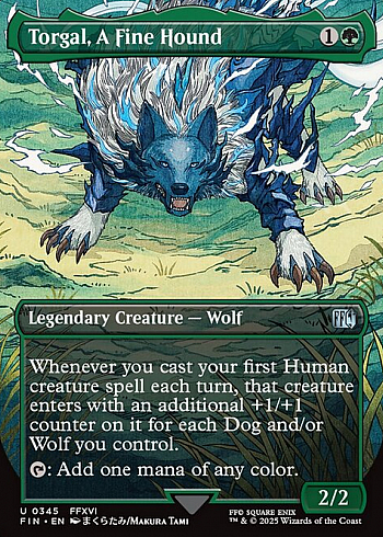Torgal, A Fine Hound