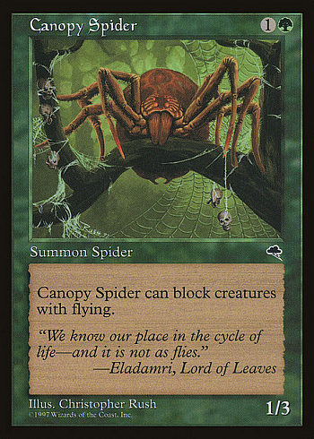 Canopy Spider