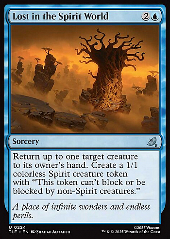 Lost in the Spirit World