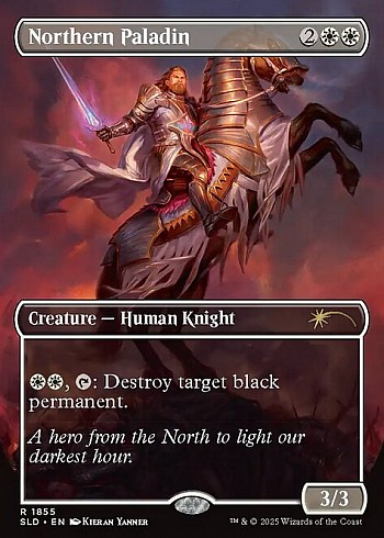 Northern Paladin
