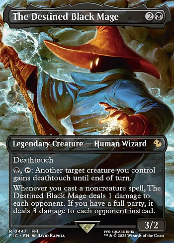 The Destined Black Mage