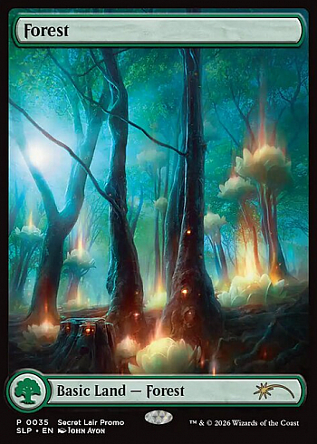Forest