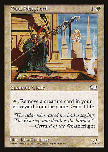 Soul Shepherd