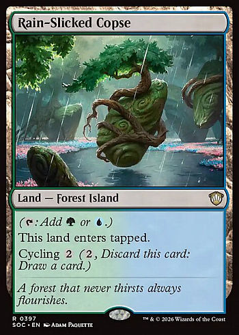 Rain-Slicked Copse