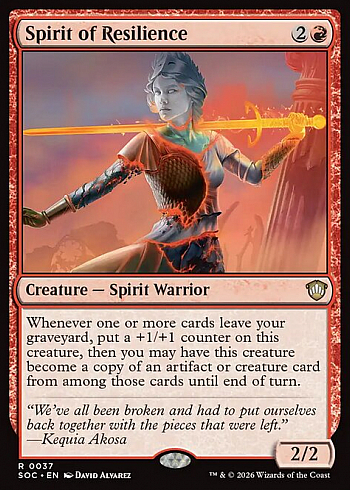 Spirit of Resilience
