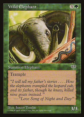 Wild Elephant