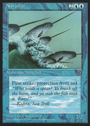 Narwhal