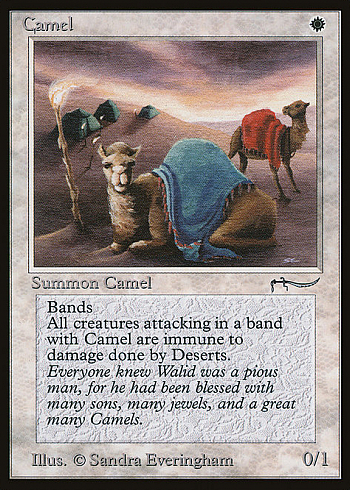 Camel