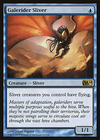 Galerider Sliver