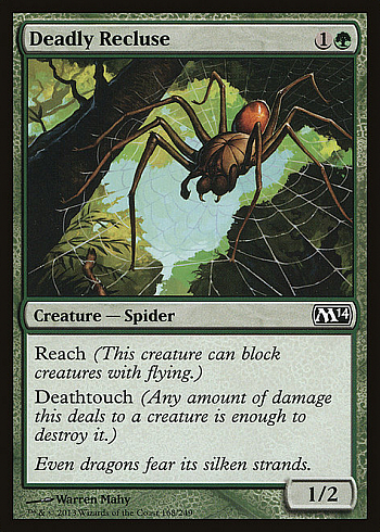 Deadly Recluse