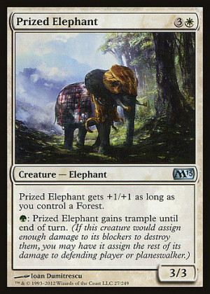 Prized Elephant