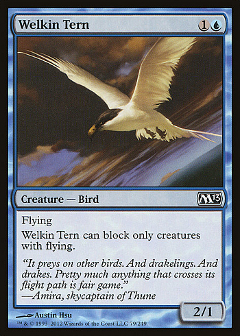 Welkin Tern