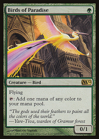 Birds of Paradise
