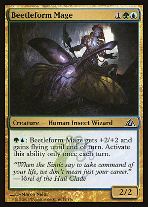 Beetleform Mage