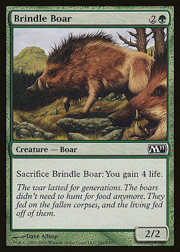 Brindle Boar