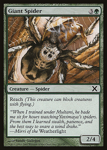 Giant Spider