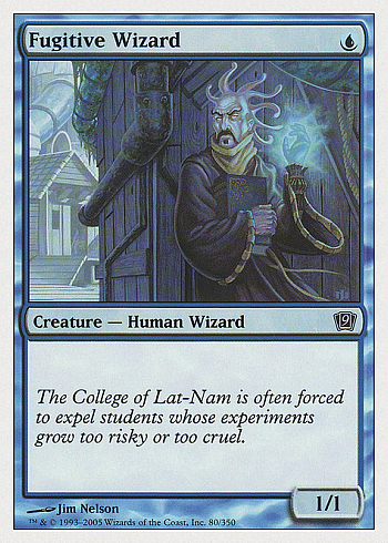 Fugitive Wizard