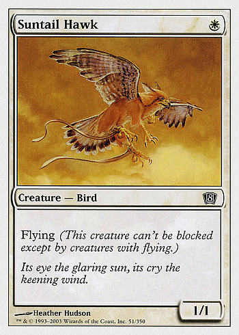Suntail Hawk