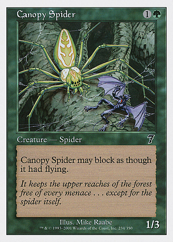Canopy Spider