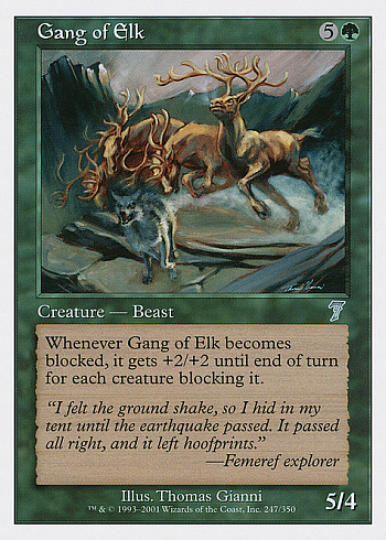 Gang of Elk