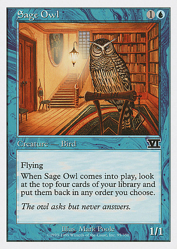 Sage Owl